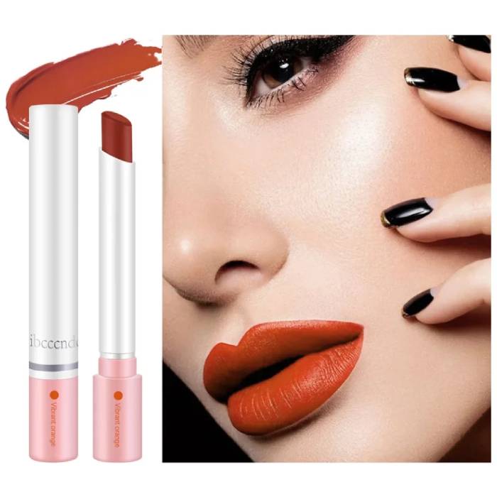 4 Colors Matte Cigarette Lipstick Set